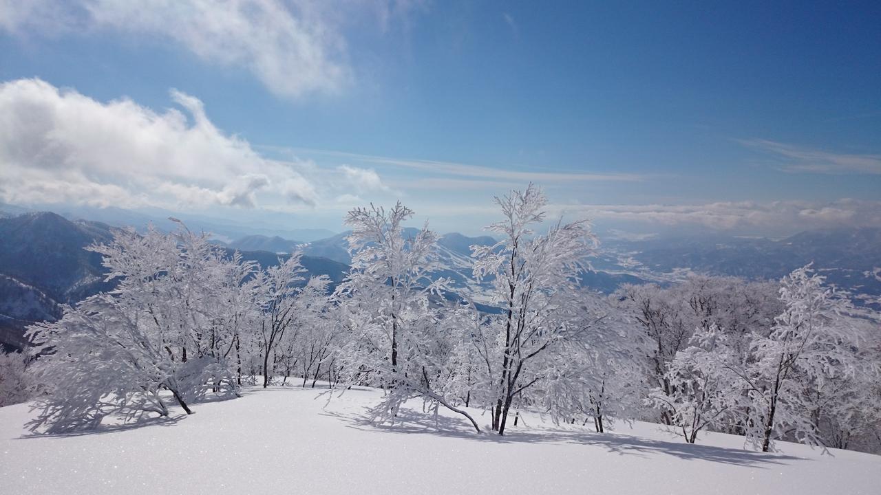 Nozawa Dream Hotel Exterior photo