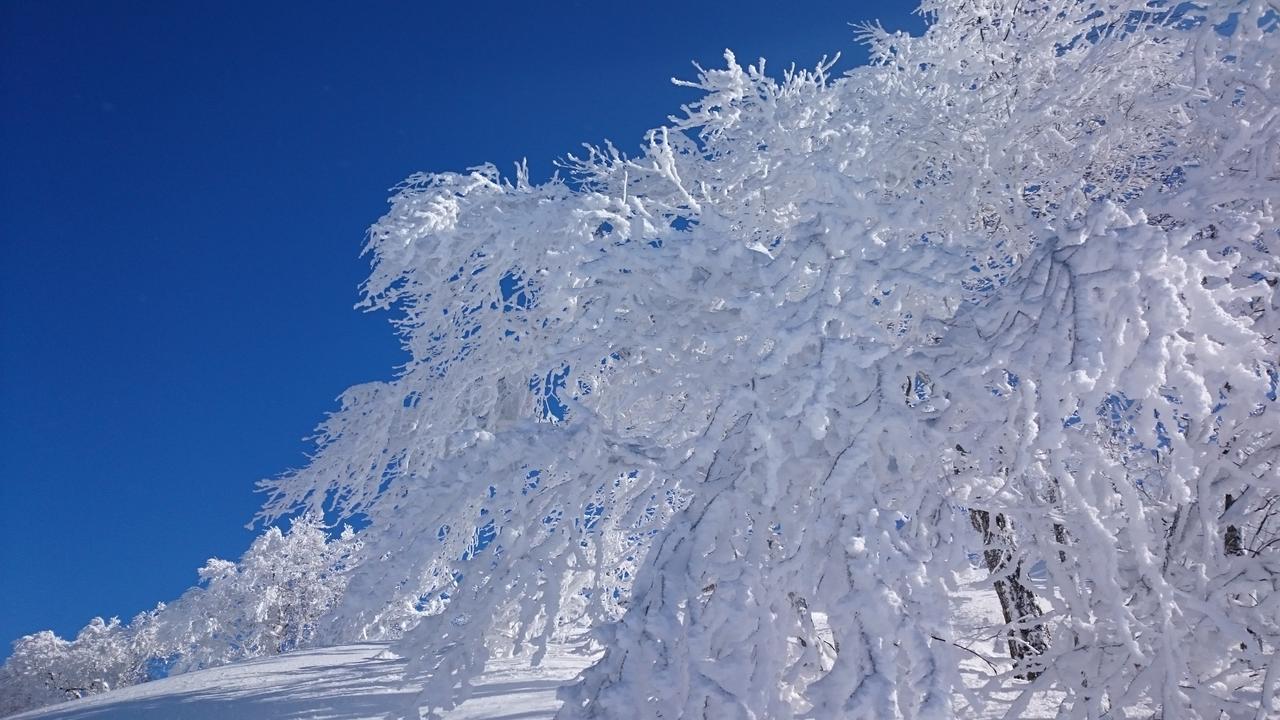 Nozawa Dream Hotel Exterior photo